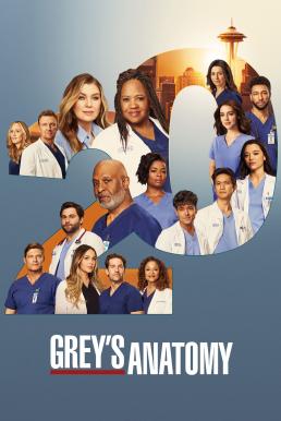 Grey&#8217;s Anatomy แพทย์มือใหม่หัวใจเกินร้อย Season 20 (2024)