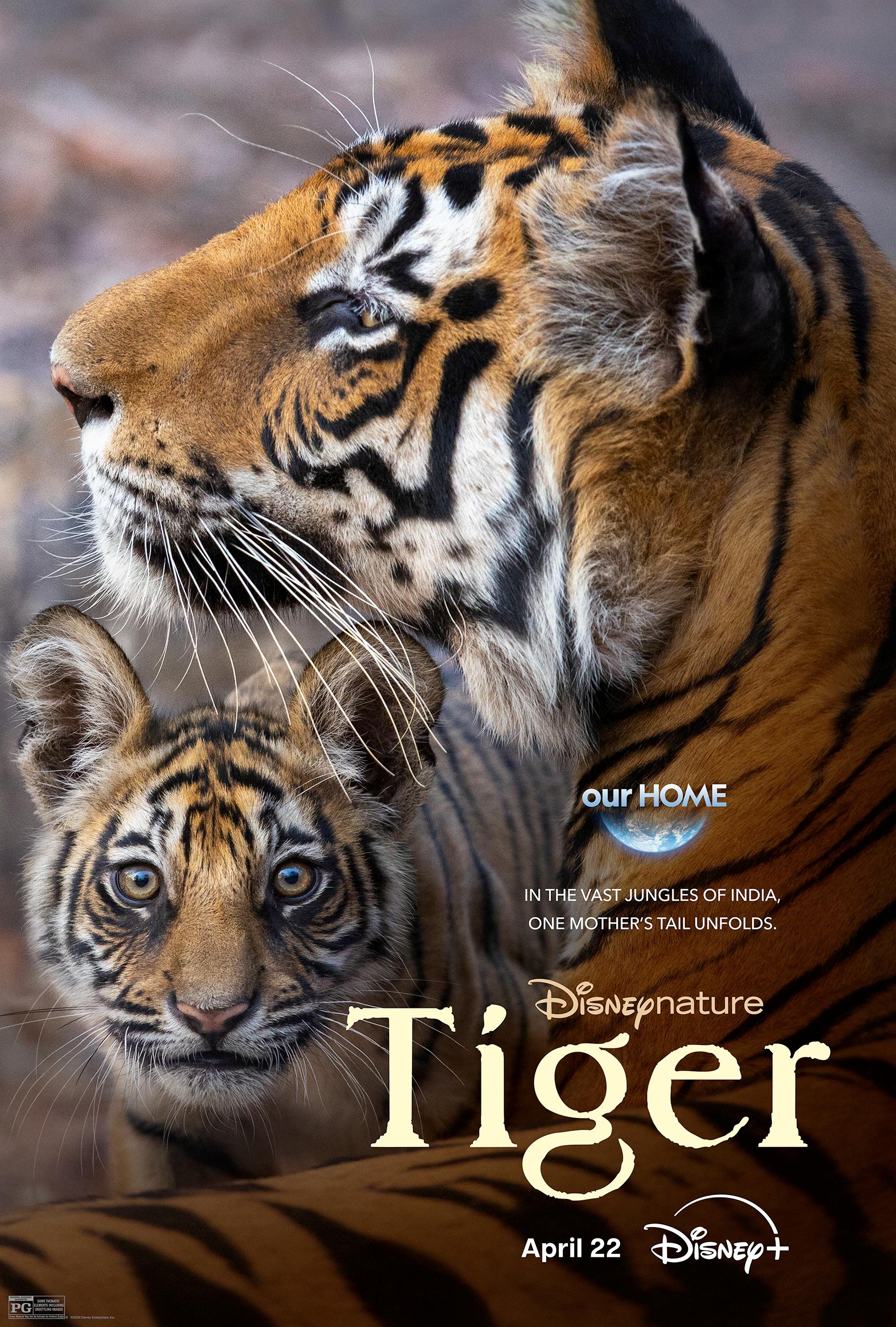 Tiger (2024)