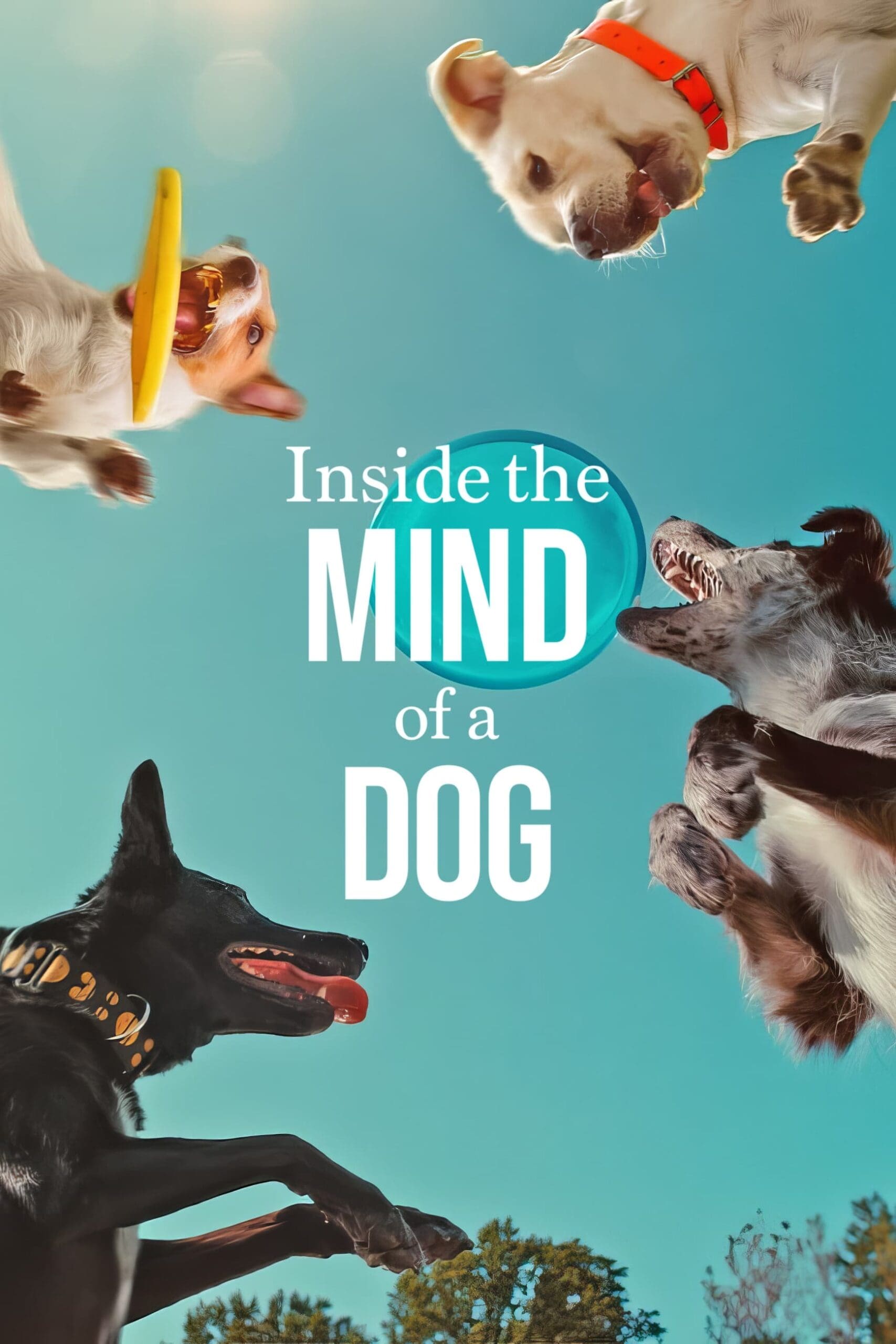 Inside the Mind of a Dog อ่านใจสุนัข (2024)