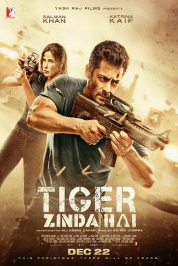 Tiger Zinda Hai ไทเกอร์ยังอยู่ (2017)
