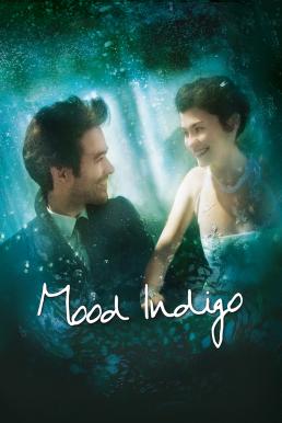 Mood Indigo (L&#8217;écume des jours) รักนี้มหัศจรรย์ (2013)