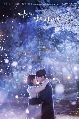 While You Were Sleeping (2017)