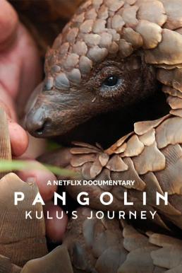 Pangolin: Kulu&#8217;s Journey การเดินทางของคูลู (2025)