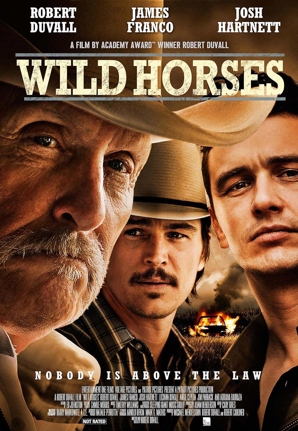 Wild Horses ฟื้นคดีโหดฝังแผ่นดิน (2015)
