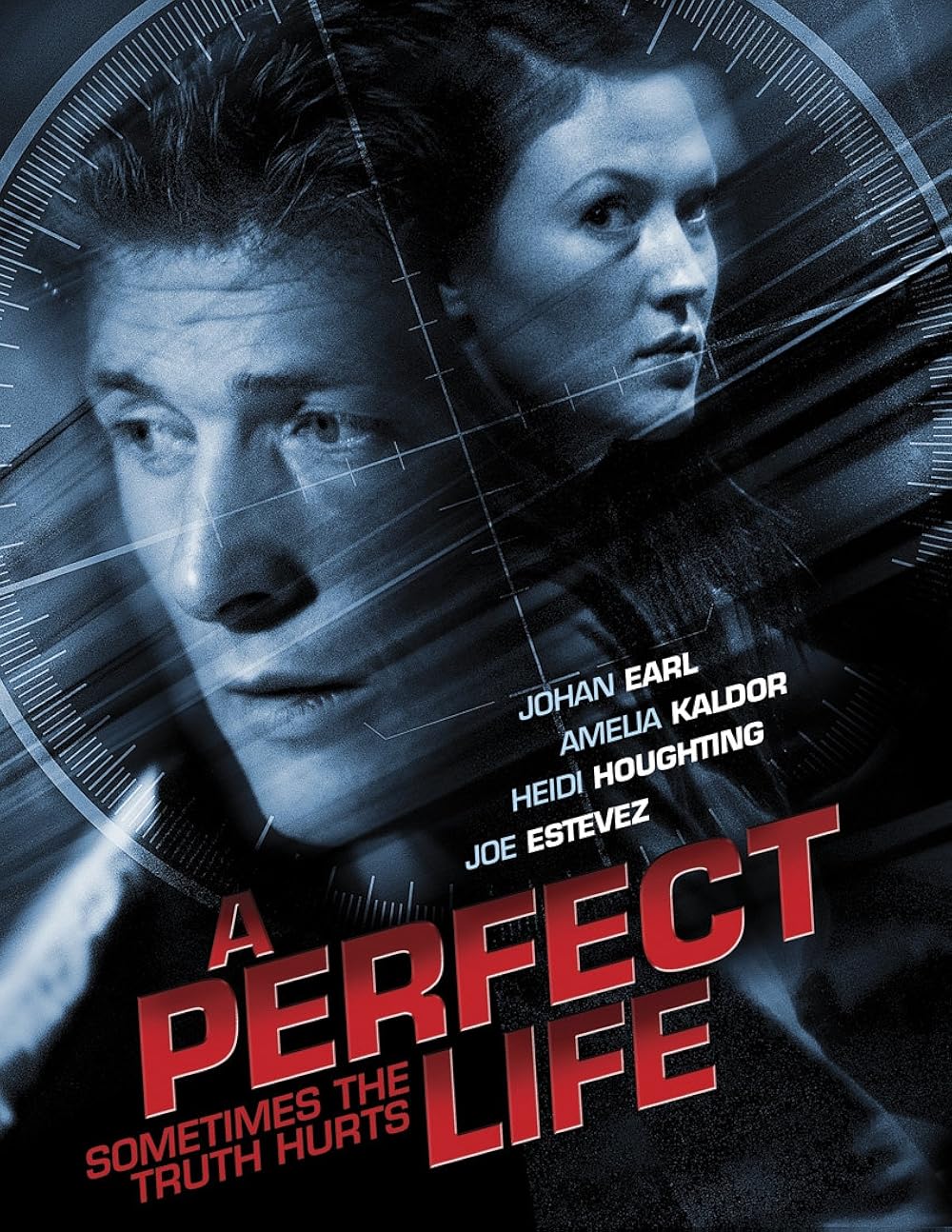 A Perfect Life พิศวาสสีเลือด (2010)