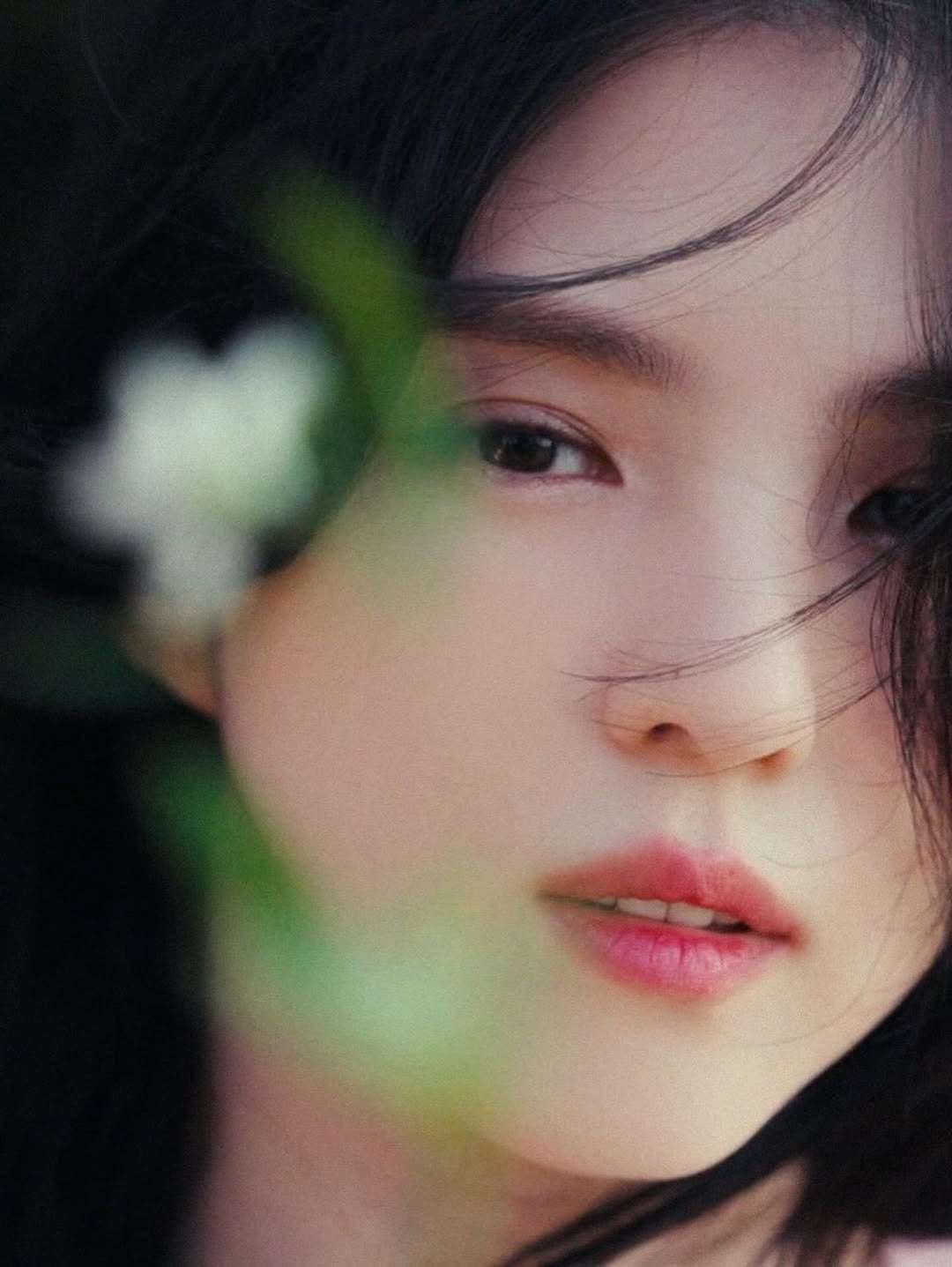 ฮันโซฮี ฮันโซฮี