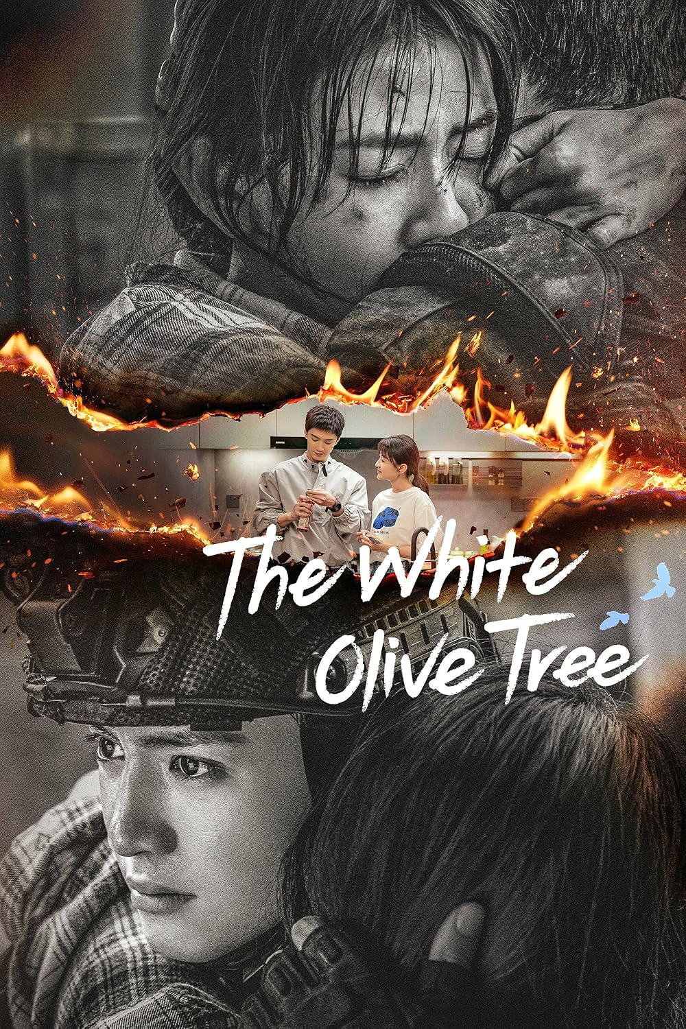รีวิว White Olive Tree รีวิว White Olive Tree